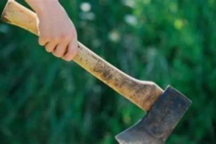 S-a dus la Profi cu un topor și a dat peste un fost vicecampion național la box   