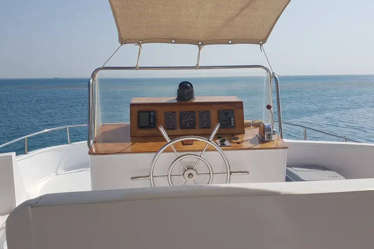 Animal marin care își regenerează organele! Descoperire incredibilă în Marea Roșie   