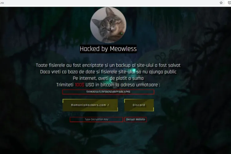 Gest umanitar! Un clujean oferă arhiva site -ului Consiliului Județean Cluj, atacat de hackeri   