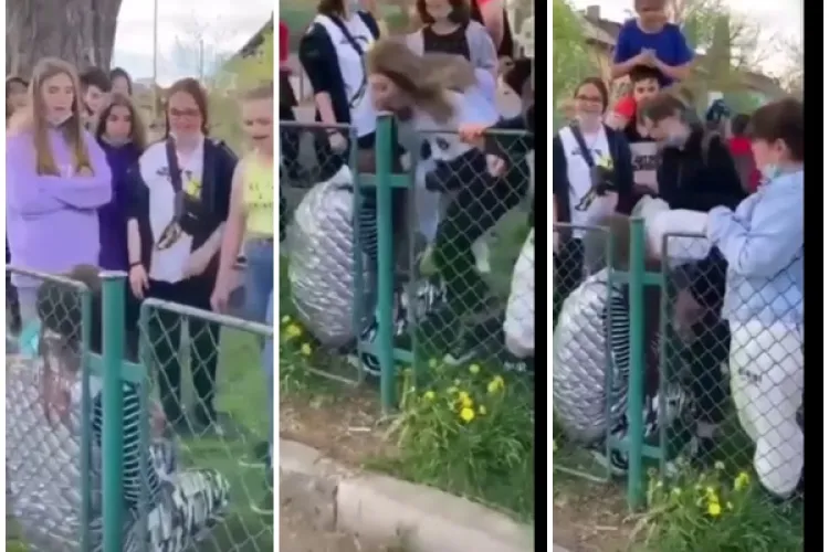 Fetiță fără apărare, BĂTUTĂ și UMILITĂ de colegele ei într-un loc de joacă. Imagini revoltătoare - VIDEO