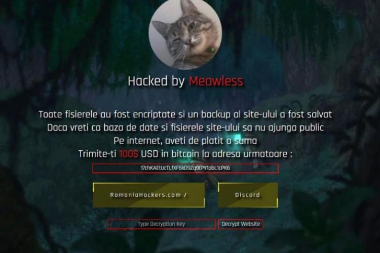 Site-ul Consiliului Judeţean Cluj, spart de hackerii de la Meowless: „Aveţi de plătit”