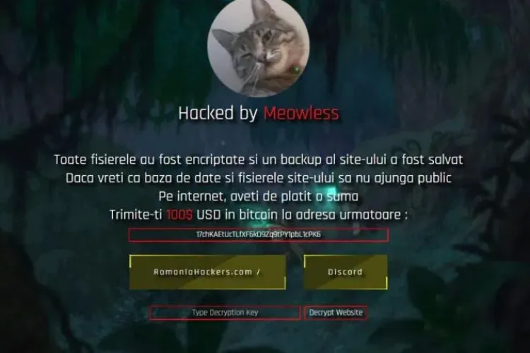Site-ul Consiliului Judeţean Cluj, spart de hackerii de la Meowless: „Aveţi de plătit”