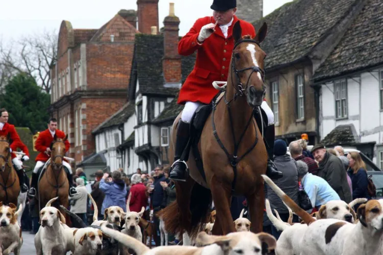 Animalele, recunoscute prin lege ca fiinţe cu drepturi în Marea Britanie