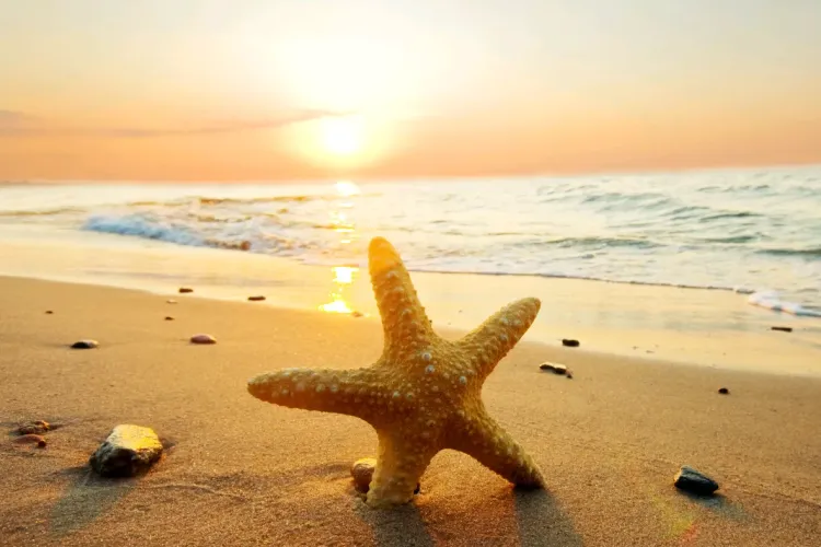 Horoscopul verii 2021. Zodia care se va bucura de succes și popularitate în această vară