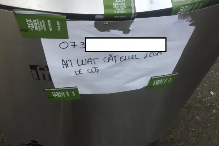 Și-a lăsat câinele legat la intrare în Iulius Mall Cluj și a fost luat de un iubitor de animale, pentru că e abuzat - FOTO