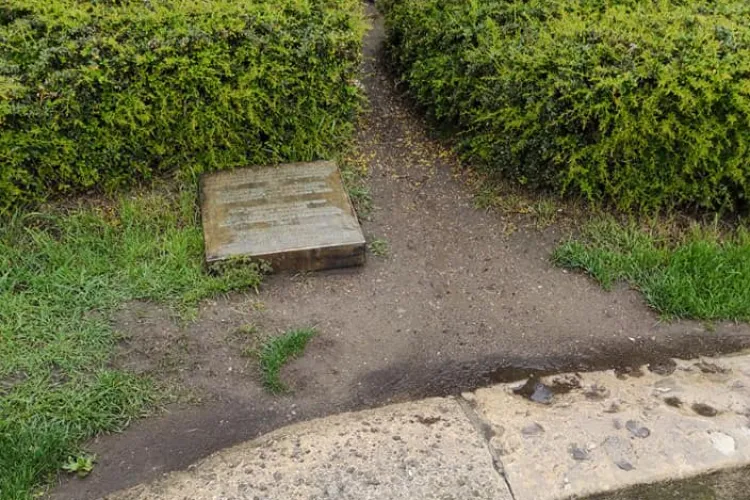 Statuia lui Matei Corvin este lăsată în paragină intenționat? Ce cred clujenii - FOTO