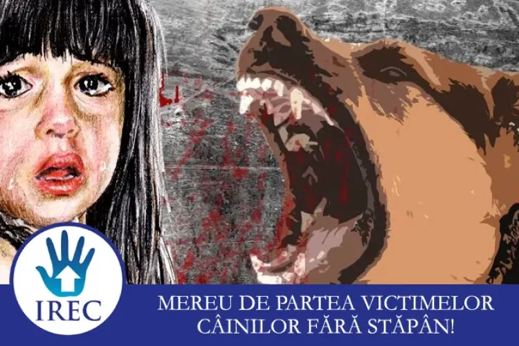 Fetița de 10 ani atacată de un caine fără stăpân a câștigat procesul cu Primăria, după 2 ani   