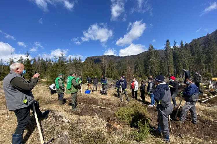 Angajații IULIUS au plantat 4.500 de copaci pentru un viitor cu aer mai curat în județele Cluj, Iași și Suceava