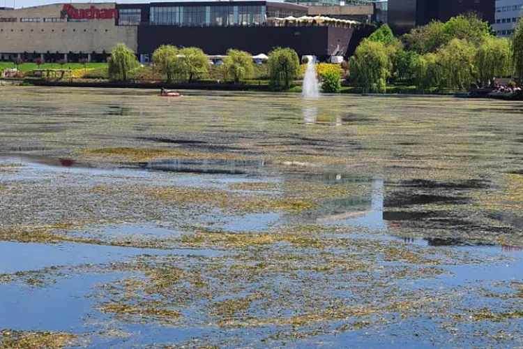 Clujenii acuză Primăria Cluj-Napoca de abandonarea lacului din Gheorgheni - FOTO
