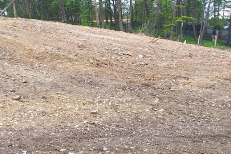 Proprietar de teren, reclamat că a tăiat vegetația pe un teren de lângă Baza Unirea, din Mănăștur - FOTO   