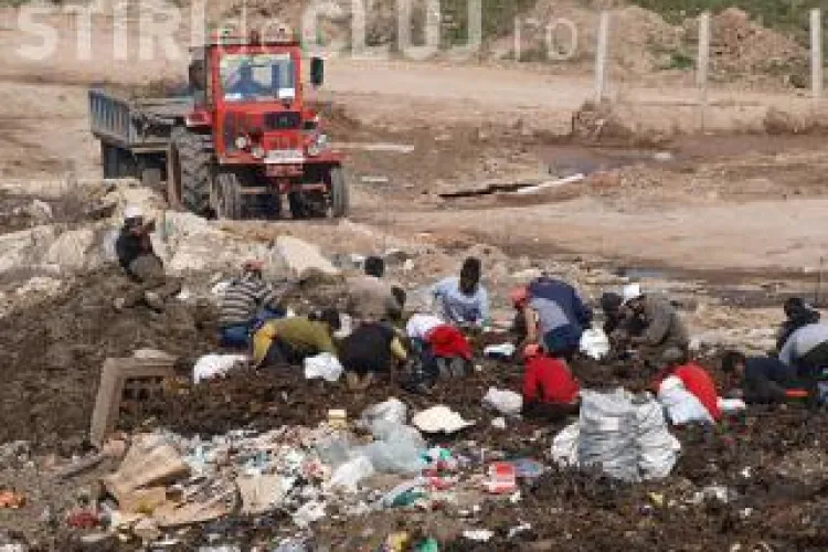 Tiganii, respinsi de Senat. Senatorii au respins proiectul de lege privind inlocuirea termenului "rom" cu cel de "tigan"