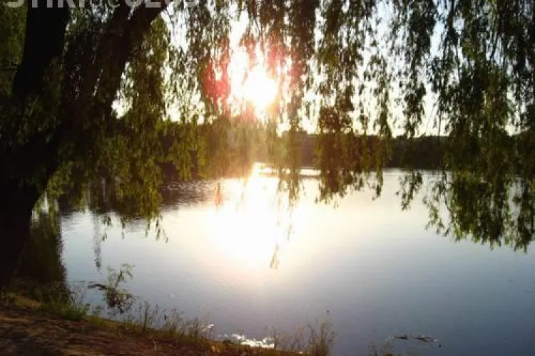 Ecologistii acuza Primaria clujeana ca vrea sa distruga 4 spatii verzi si sa permita constructia de blocuri! VEZI zonele vizate