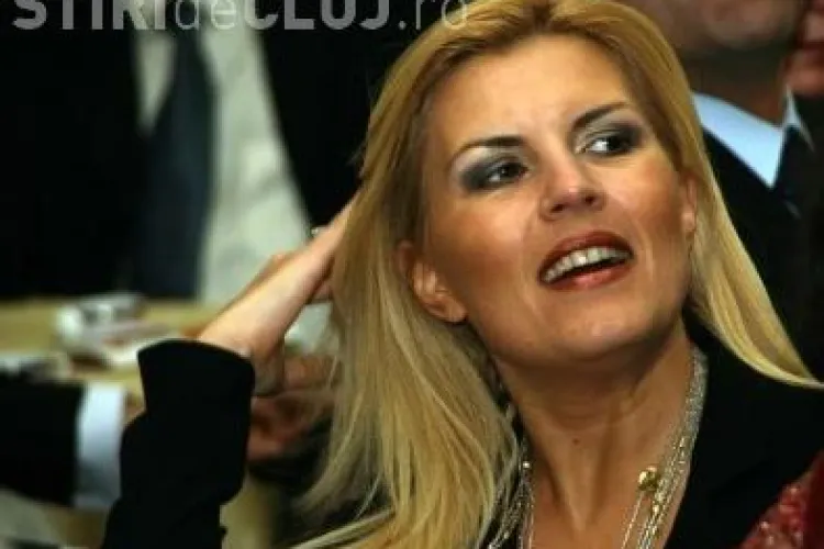 Elena Udrea anuntase ca vine joi la Cluj pentru a se intalni cu reprezentantii autoritatilor locale, dar va trimite un secretar de stat!