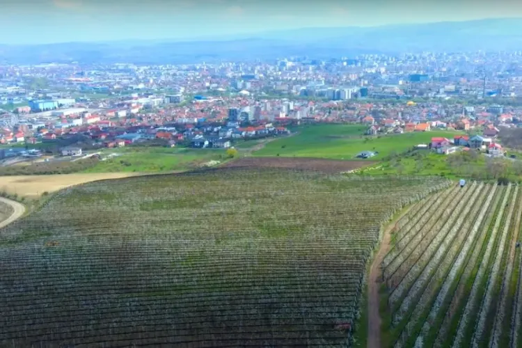 Boc vrea un PUG metropolitan: Primarii pot aproba blocuri de 20 de etaje la un metru de Cluj-Napoca   