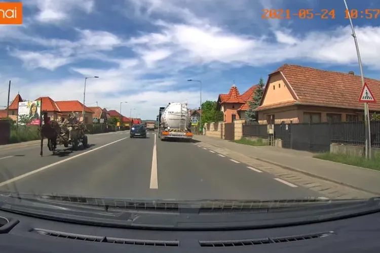 Un nenorocit își bătea calul în ultimul hal, pe DN1, în Florești, pentru a alerga mai tare - FOTO   