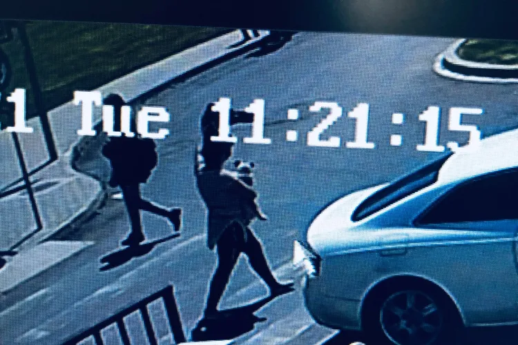 Hoață de căței filmată lângă Iulius Mall Cluj. Cine a văzut ceva? - FOTO și VIDEO