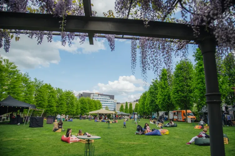 De 1 iunie, copiii sunt așteptați în Iulius Parc la Bimbo Party, pentru a sărbători Ziua Copilului