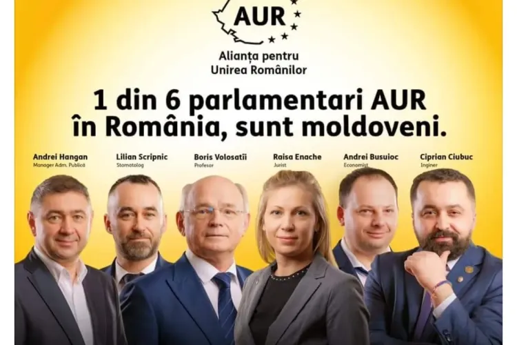 Banner AUR certat cu gramatica - FOTO