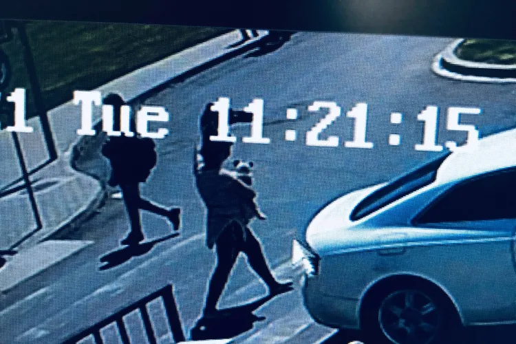 Veste bună! Hoața câinelui de la Iulius Mall Cluj a fost prinsă. Ce a făcut diferența? - FOTO 