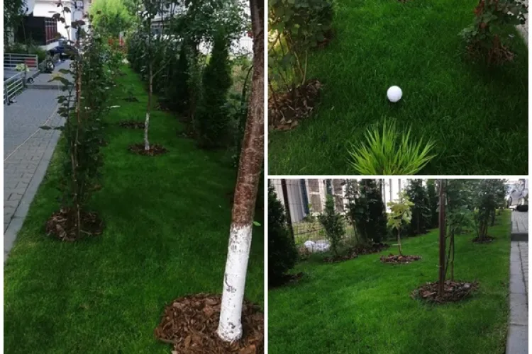 Omul sfințește locul. Oază de verdeața in Florești. Unde este amplasată “minunea” - FOTO 