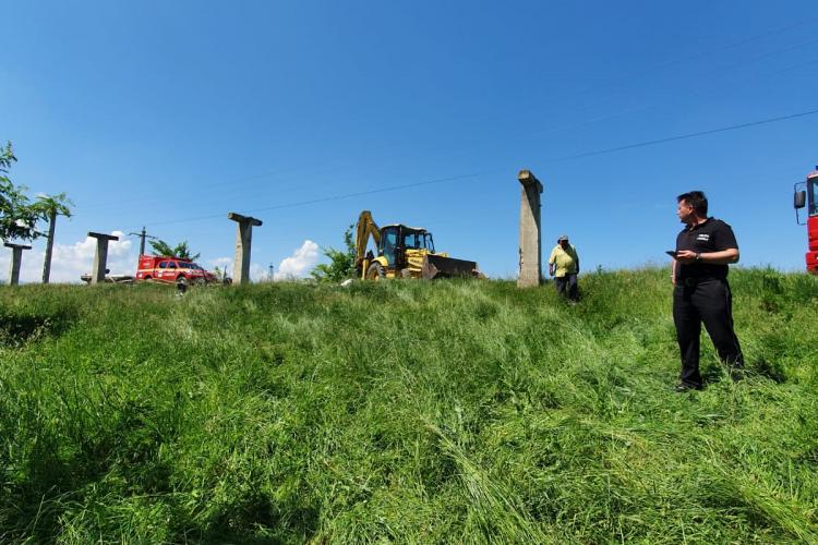 Cal epuizat, salvat din Mureș de pompieri. Animalul era la capătul puterilor - VIDEO