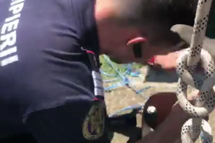 Pui de pisică salvat de pompieri în mod miraculos. Căzuse într-un tub de 10 metri adâncime - VIDEO