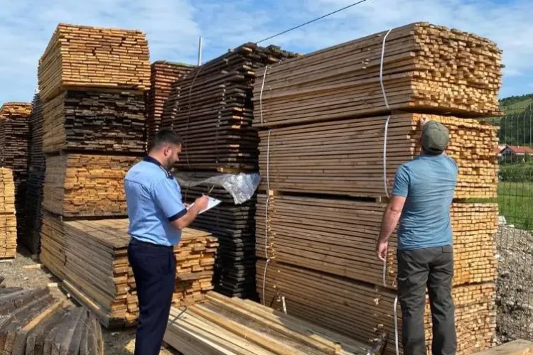 Cluj: Hoții de lemne lovesc din nou! Amenzi de mii de lei pentru transport ilegal de lemne- FOTO