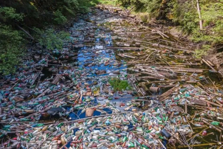 Lacul Beliș e afectat GRAV de dezvoltarea turismului în zonă. Gunoaiele au acoperit luciul de apă - FOTO