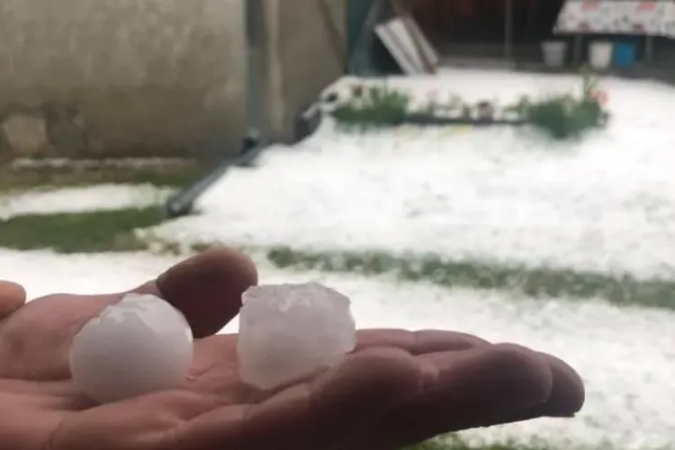 Grindina a făcut RAVAGII la Cluj: Iarna pe uliță! Culturile sunt praf - FOTO