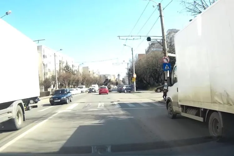 Cluj: Câine în lesă, lovit pe trecere de pietoni în Gheorgheni. Poliția susține că proprietarul e de vină