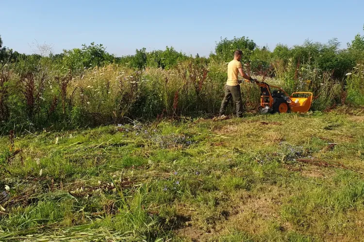 Primăria Cluj-Napoca supraimpozitează terenurile care nu sunt întreținute și pe care vegetația crește    