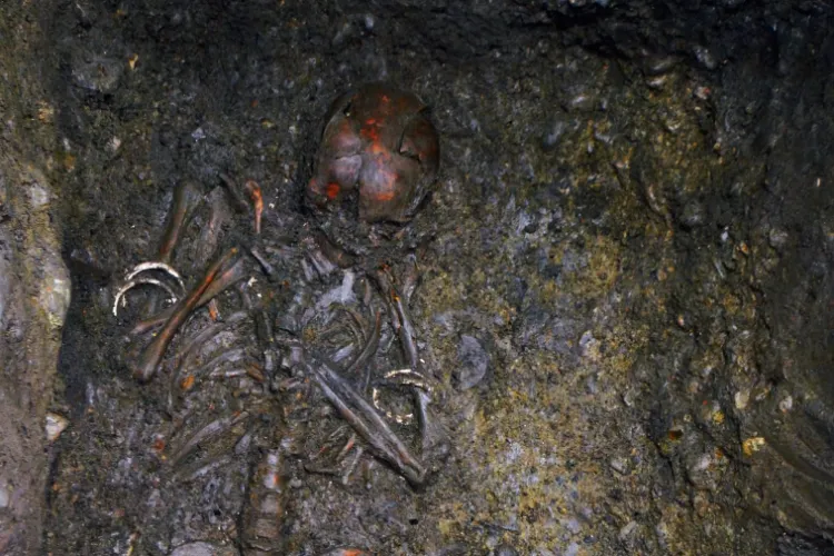 Mormânt preistoric descoperit în centrul Clujului, într-un beci din Piața Unirii - VIDEO