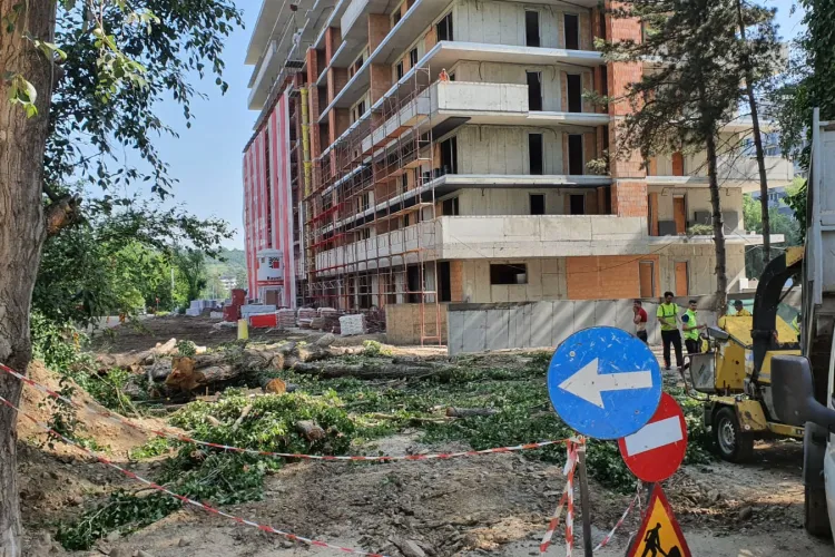 Boc, în discuții cu ”greii” de la UE: Obiectivul Clujului este ”crearea și modernizarea a peste 190 ha de spații verzi”