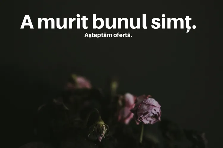 Tinerii USR, atac dur la BOR, după ce biserica se opune predării educației sexuale în școlile românești