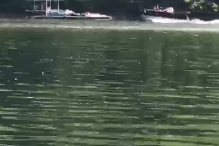 Șmecherii continuă să circule că bărcile pe Tarnița! Profită că autoritățile liberale nu fac ceea ce trebuie - VIDEO