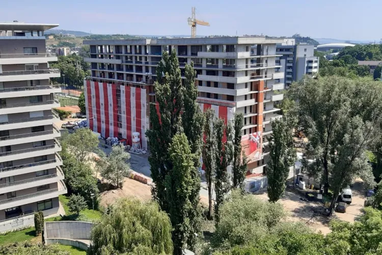 Bonțidean susține că tăierea plopilor din cartierul Plopilor este legală. Dacă sunt un pericol, de ce nu s-a folosit tomograful de 30.000 de euro? - FOTO  