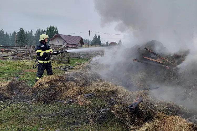 Cluj: Adăpost de animale distrus în urma unui incendiu. Focul a pornit din cauza unui fulger - VIDEO 