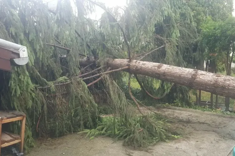 O familie din Cluj s-a trezit cu brazi de 45 de metri pe casă, după vijelia de noaptea trecută - FOTO