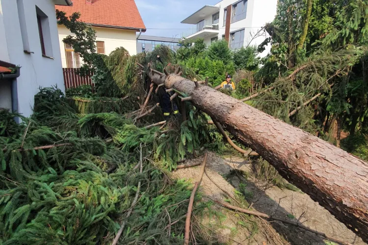 Dan Tarcea: Duminică seara a fost un ochi de furtună, a fost un fel de tornadă. Brazii au fost rupți 