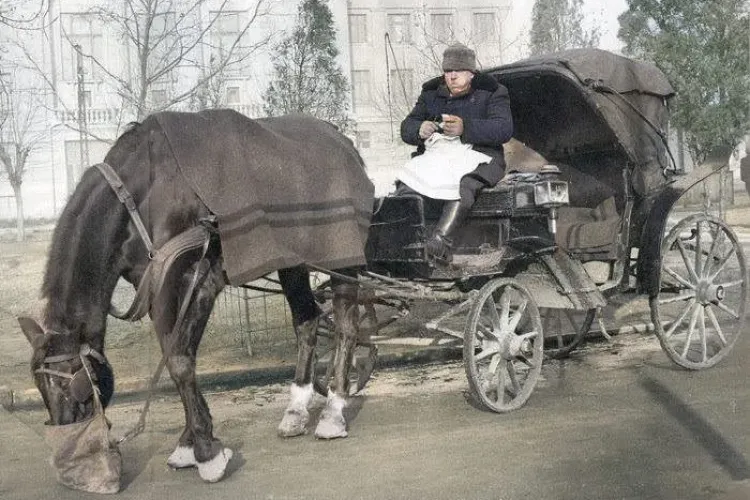 Pauză de masă a unui birjar din Clujul de demult - FOTO