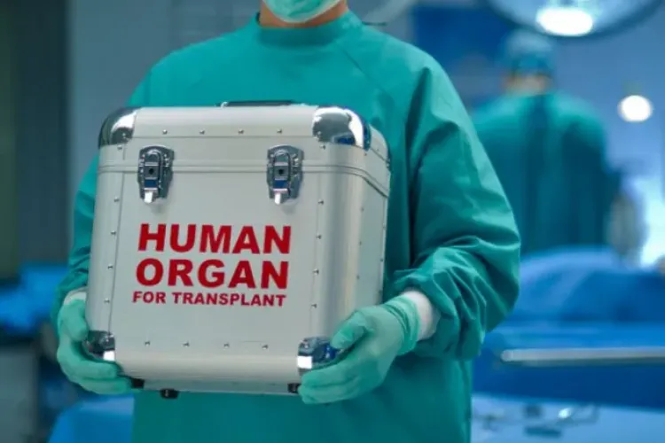 Românii își scot la vânzare organele pe internet: „Sunt perfect sănătos, am nevoie urgentă de bani şi vând un rinichi