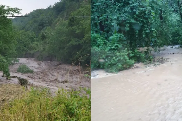 Case inundate, oameni refugiați în podurile caselor și drumuri distruse în mai multe localități din Apuseni 