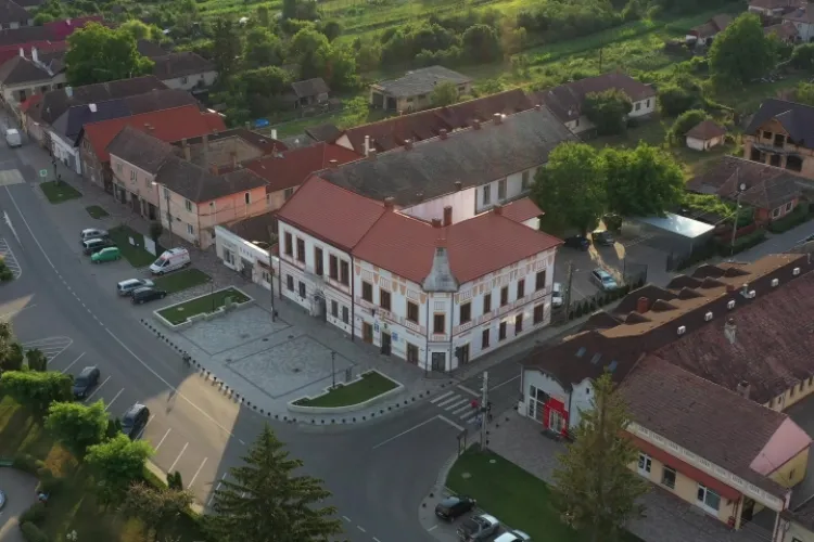 Leul cu ochii scoși, simbolul amuzant de pe noua stema unui oraș din Transilvania aprobată de Guvern - FOTO