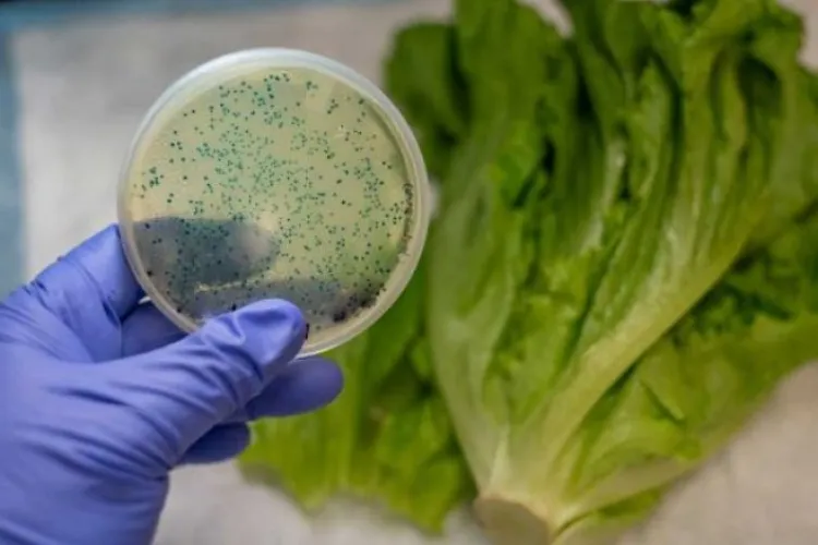 Norovirusul face ravagii în România. Val de internări din cauza transmiterii rapide