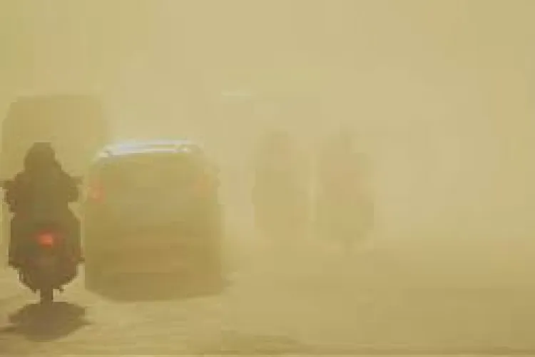 Bestia Africană, cel mai mare val de caniculă şi praf saharian, a pătruns în țară. România se sufocă la aproape 40 de grade la umbră