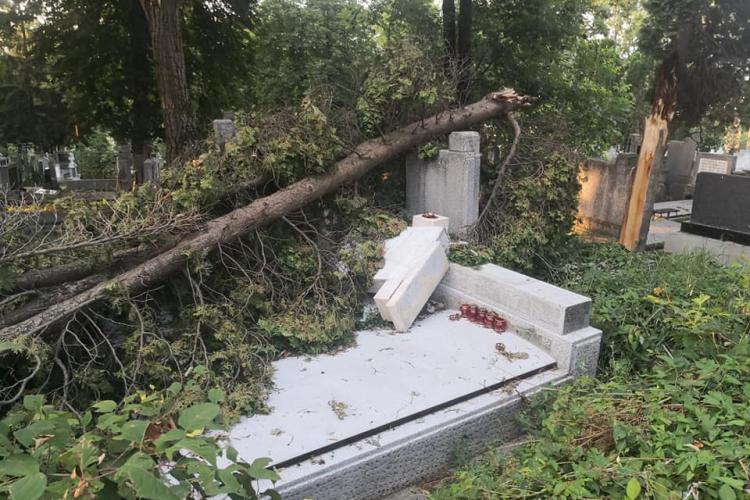 Cluj: La Cimitirul Central încă e HAOS după furtună. „Nu aveți respect nici pentru cei trecuți în neființă” - FOTO
