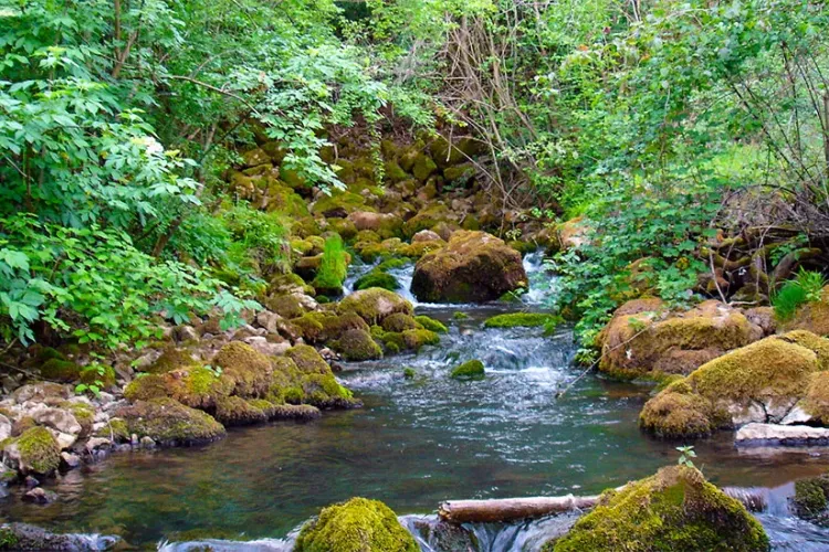 Valea Brătcuței, peisaje de vis, liniște și mâncare bună - FOTO