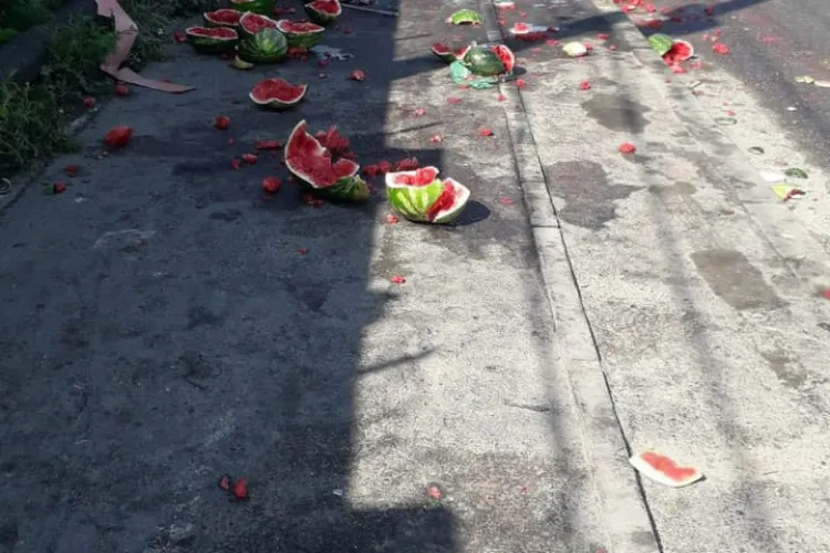 Cineva își bate joc de Cluj. Pepeni aruncați pe strada Cantonului - FOTO