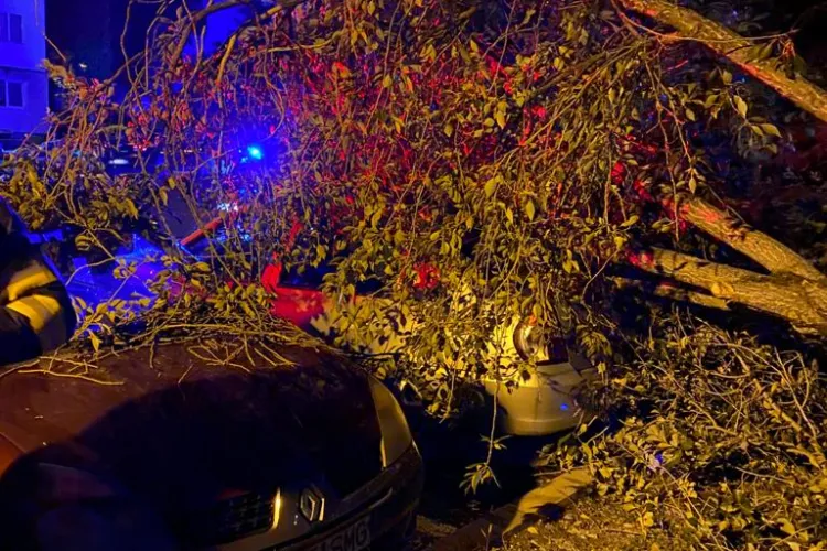 Un copac a căzut peste două mașini în Mănăștur - VIDEO și FOTO