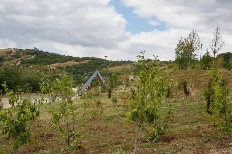 Parcul ”Pădurea Clujenilor” e aproape de finalizare. Va avea tiroliană și o suprafață impresionantă - FOTO